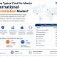 What is the typical cost per minute for international VoIP termination routes?